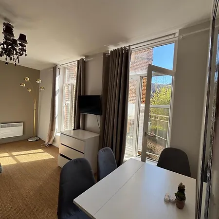 Superbes T1 Meuble Pour 4 Personnes Face Gare Lille-flandres * ליל